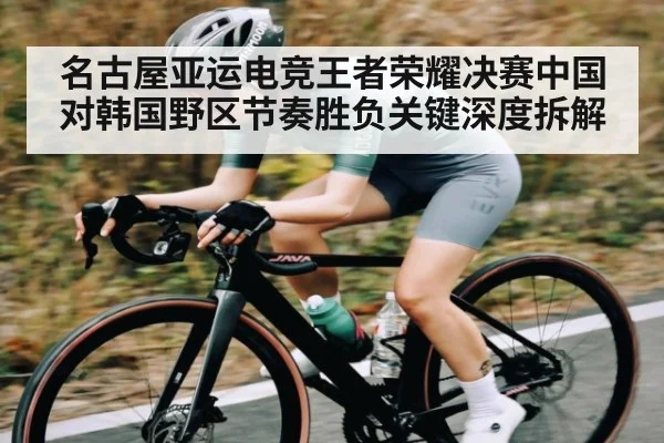 名古屋亚运电竞王者荣耀决赛中国对韩国野区节奏胜负关键深度拆解