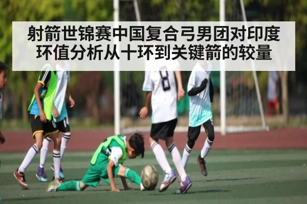 射箭世锦赛中国复合弓男团对印度环值分析从十环到关键箭的较量 | HTH.com